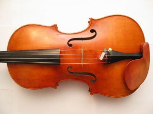 Viola